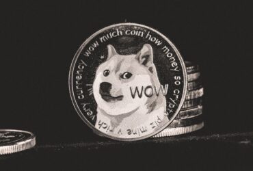 Shiba inu hond, het gezicht van dogecoin