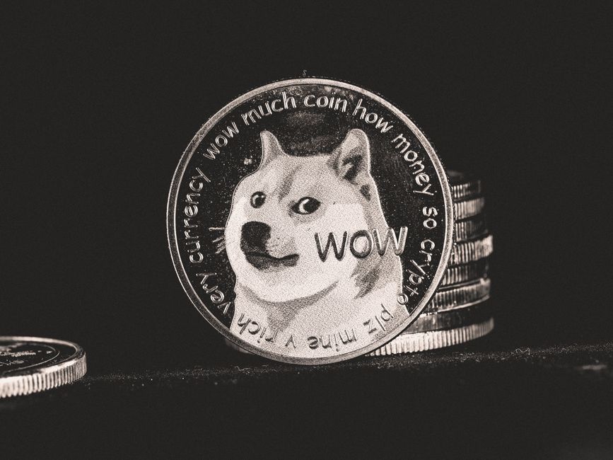 Shiba inu hond, het gezicht van dogecoin
