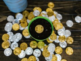 A creative still life of bitcoin coins in a pot, symbolizing growth and investment.