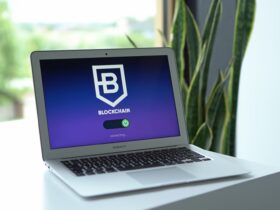 Close-up of a laptop displaying blockchain connection interface indoors, with a potted plant nearby.