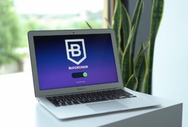 Close-up of a laptop displaying blockchain connection interface indoors, with a potted plant nearby.